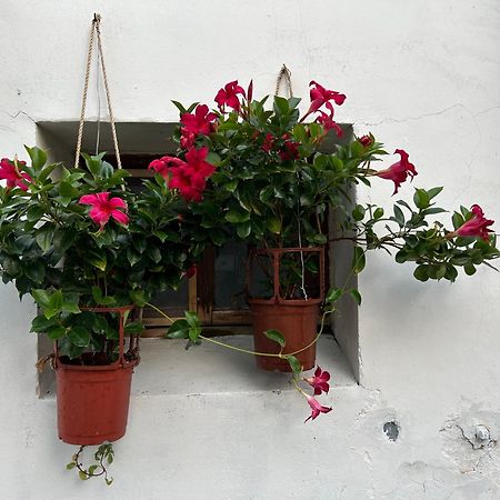 緩緩歸 Slow Living Tainan Bagian luar foto